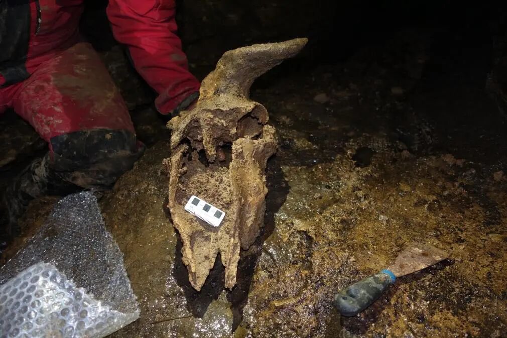 Fun ZunYi tweet media