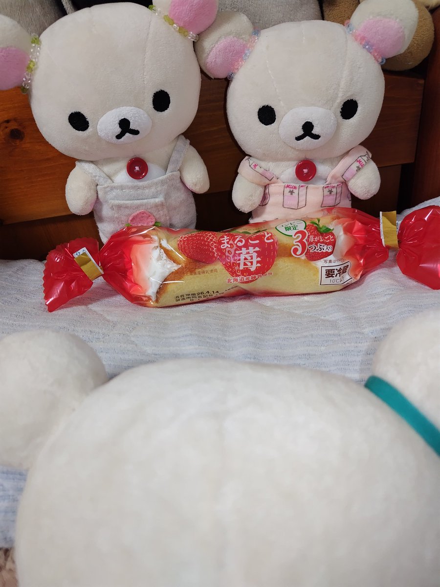 🐻🍊おやびんさんちのクマ🐻 tweet media