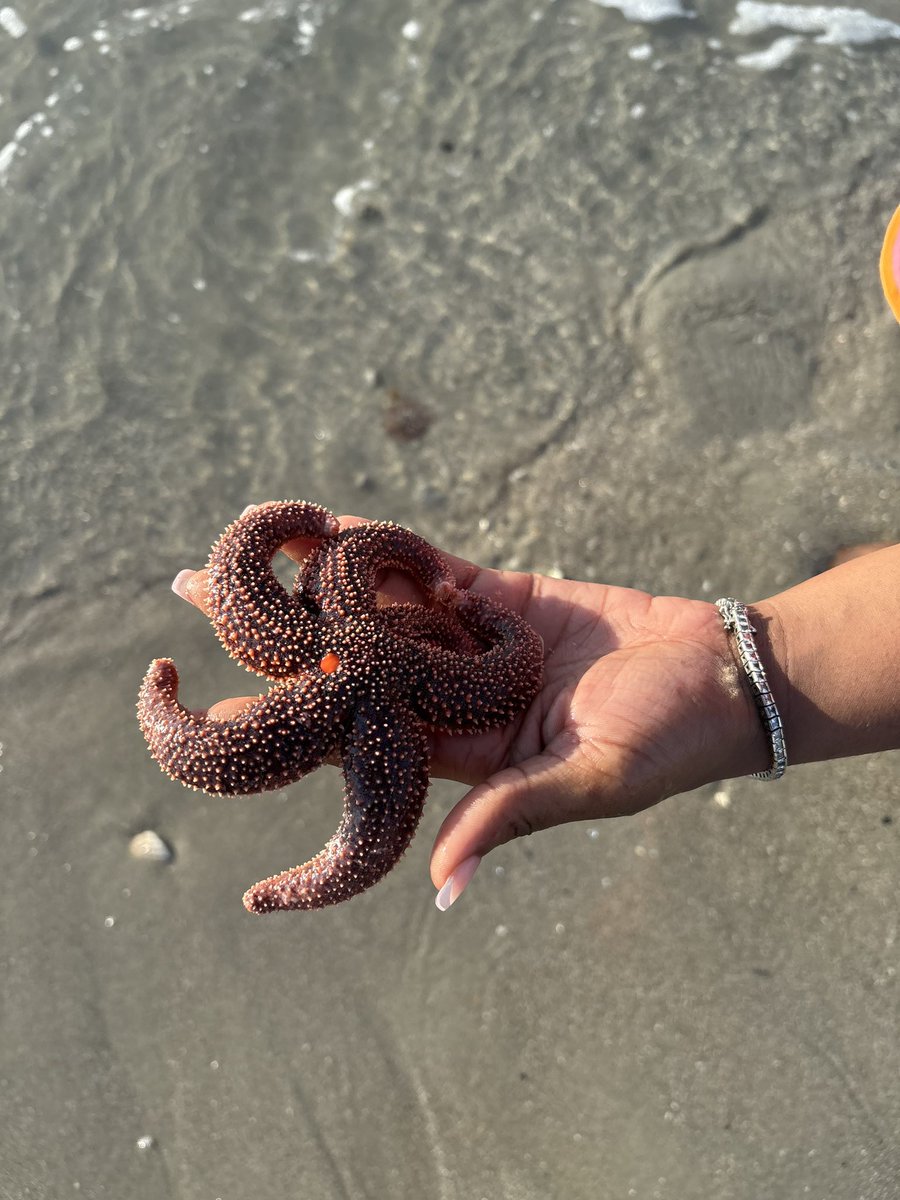 koyannaa_'s tweet image. damn i ♡ the #beach