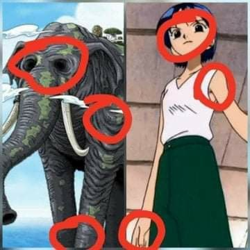 🦝🍀Erkfrisk🍀🦝-🇬🇹 tweet media