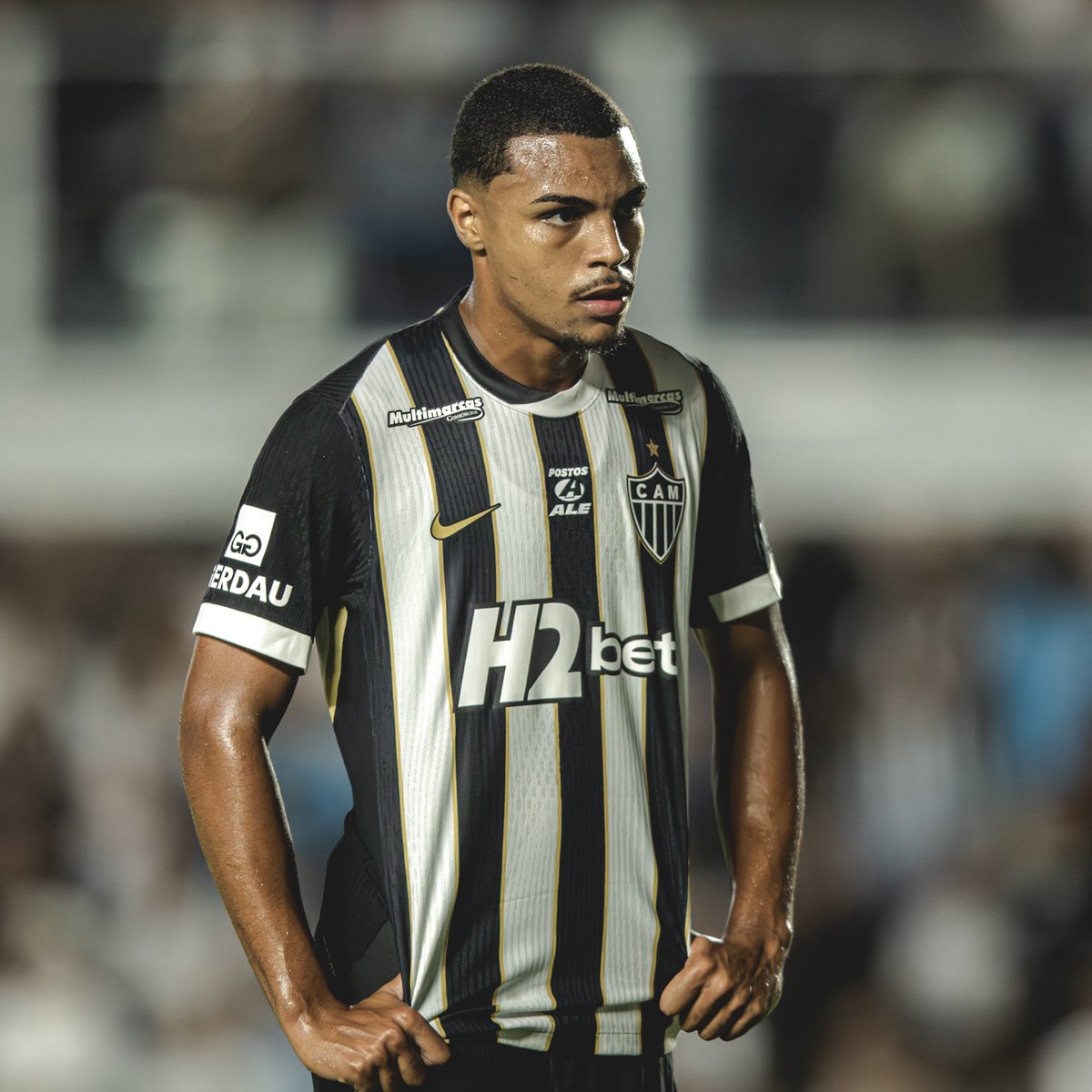 Marco Geves | BICA GALO tweet media