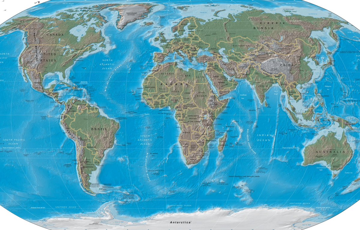 ぴろん🌸 tweet media