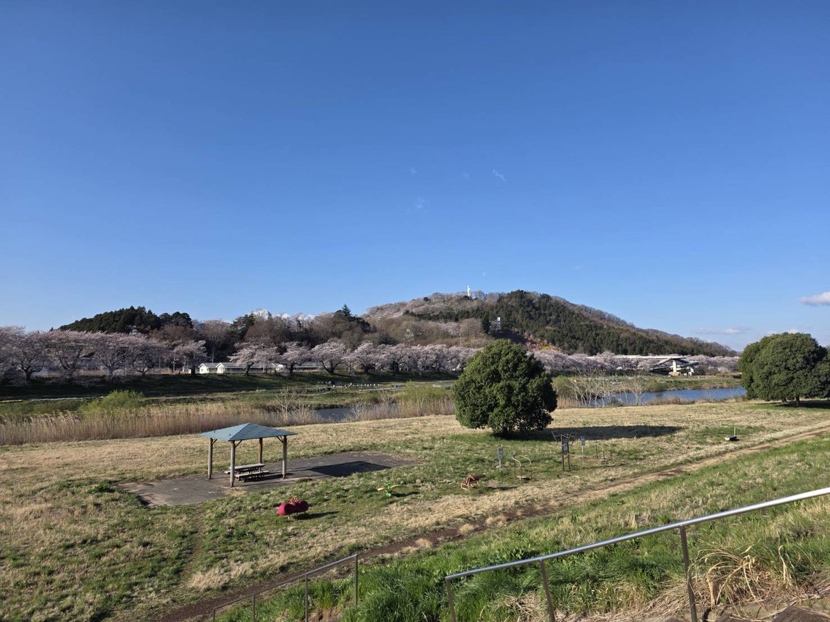 T_Winds_info's tweet photo. 桜が満開の柴田町でsu.
昨日の練習は6月28日のリバーサイドブラスへの向けての練習を先週の萌さんの指導を振り返りながら行いました。 https://t.co/v4SfuUH3ZF