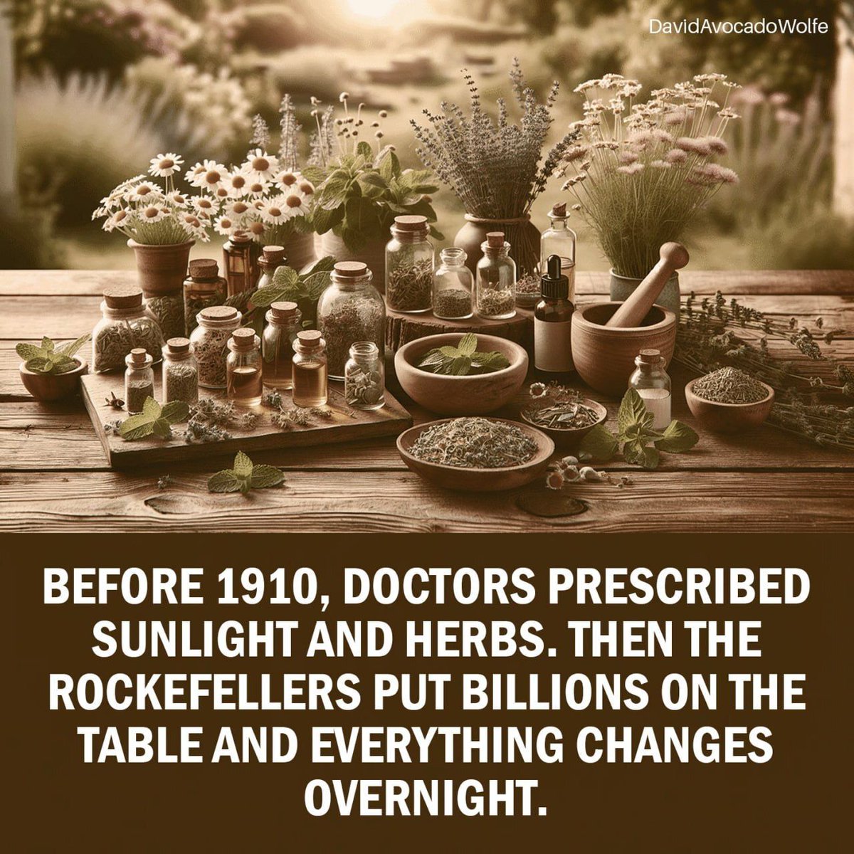 David Wolfe tweet media