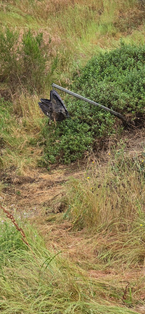 OG_SmittyWang's tweet image. Wild! Look at this complete section of singletrack I found!! It has entrance/ exit markers!!! Gonna celebrate with a Super Fudge!!!!
#Singletrack  #SanDiego #MTB #SDTrails #HiddenTrail #SuperFudge #PastryStout #TrailLife #CraftBeer #TrailStewardship #NewTrail