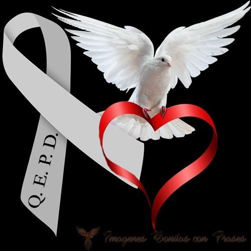 Eduardo 🎣💛💛 tweet media