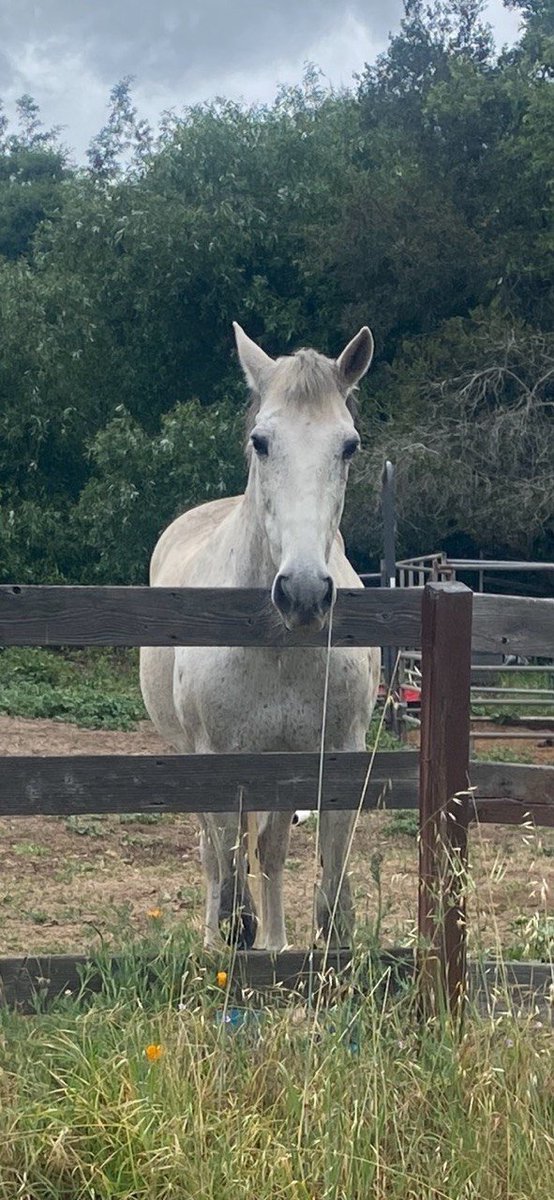 Axel Vasa tweet media