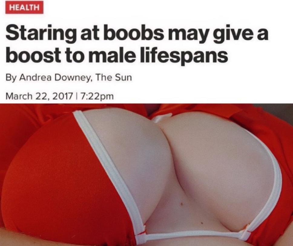 cute and kinky memes tweet media