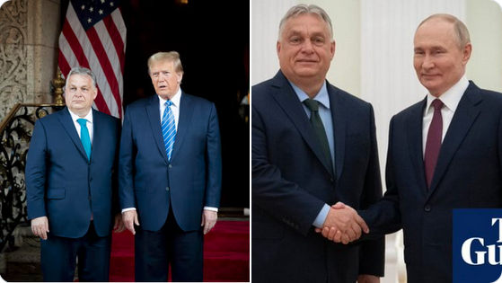 Jon Thomas tweet media