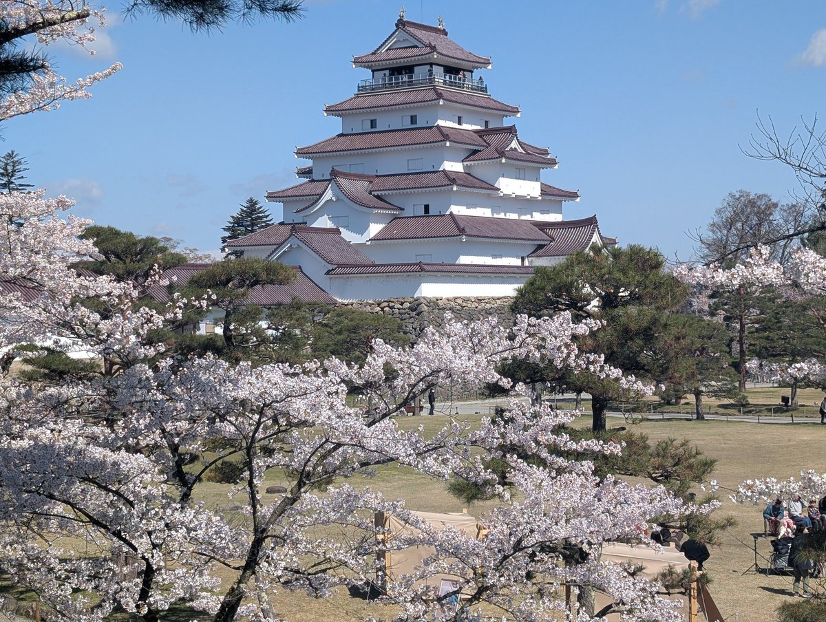 駿河の民 tweet media