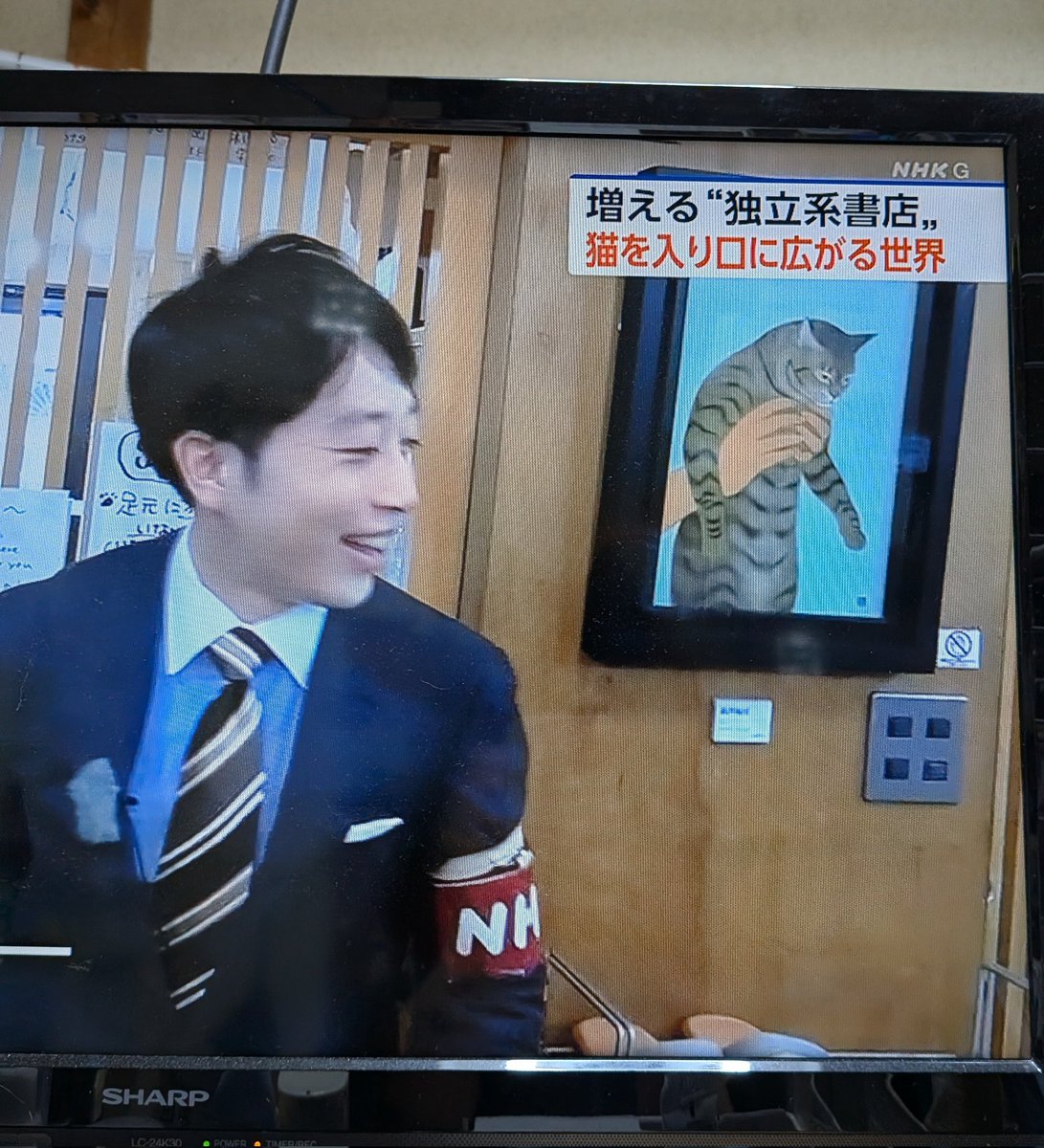 稲子(とうこ)&漣(れん) tweet media