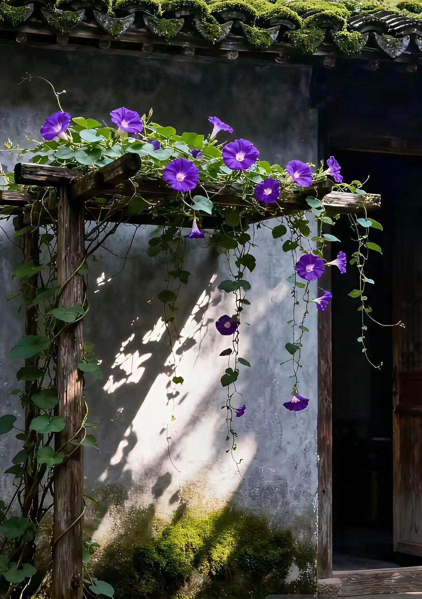 ExploreChinaScenic tweet media