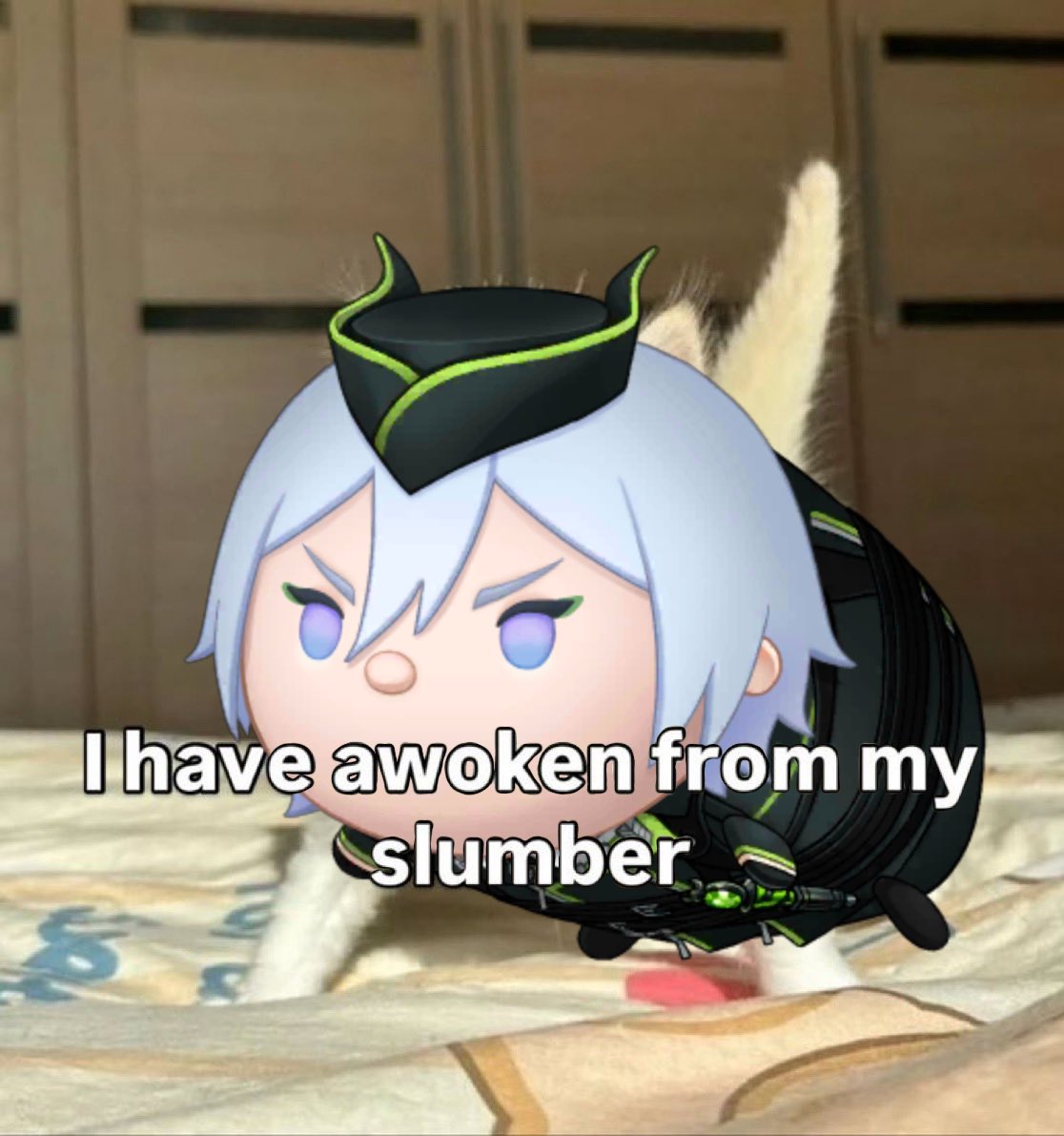 Mar🦭🪼🦦fan tweet media