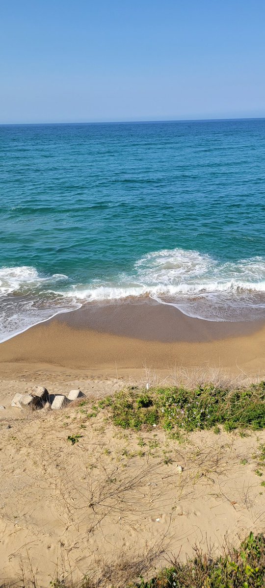 ななせ tweet media