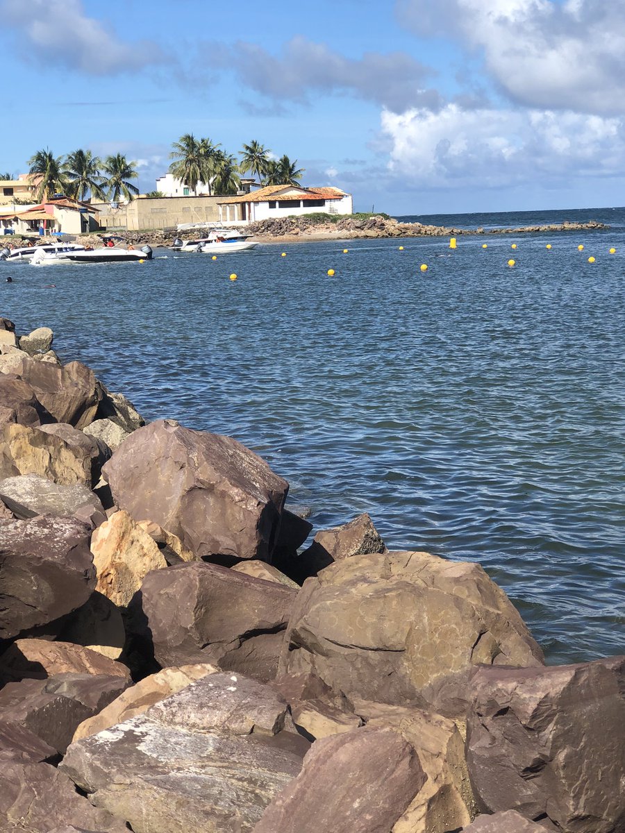 mantis (-8\13kg) tweet media