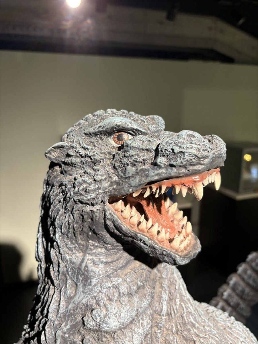 すたぁ✧◢͟￨ tweet media