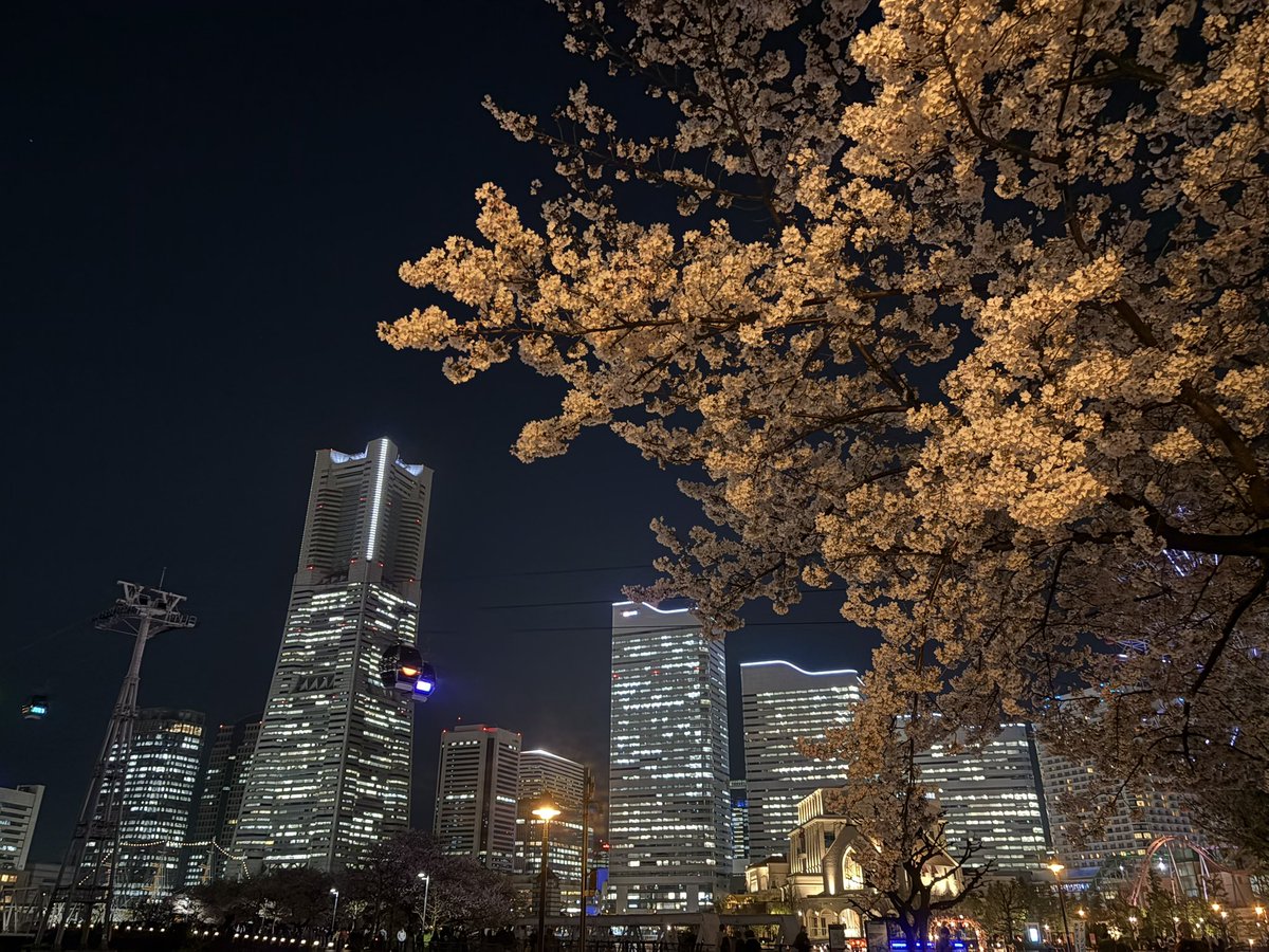 すたぁ✧◢͟￨ tweet media