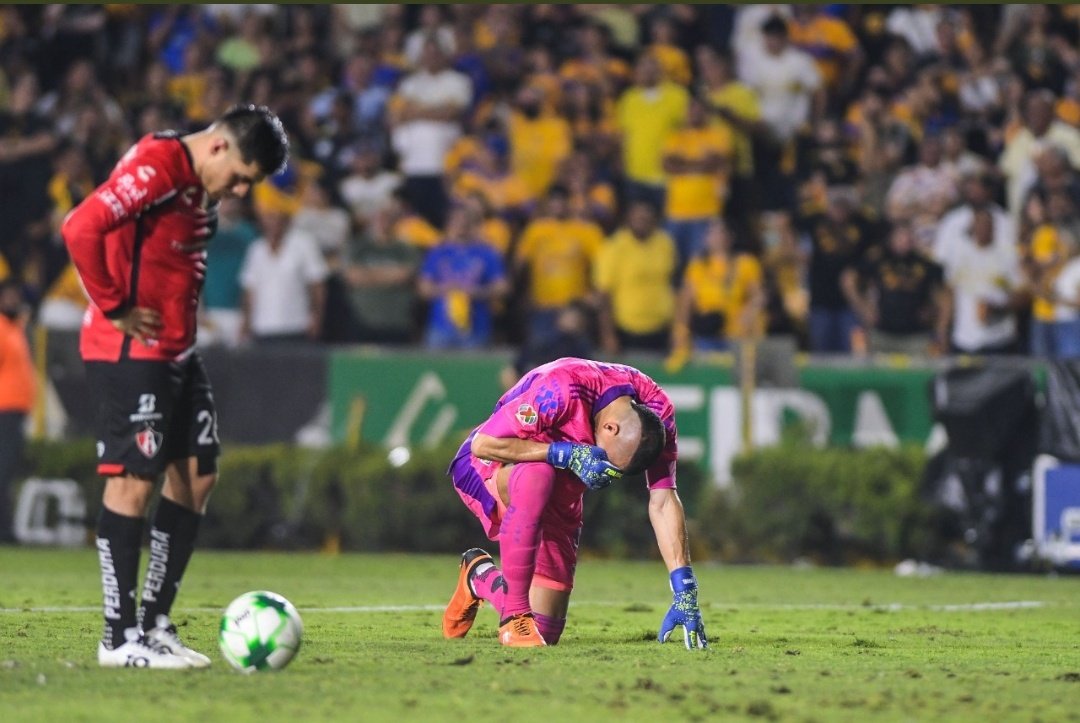 Ignacio akd🇲🇽🇲🇽 tweet media