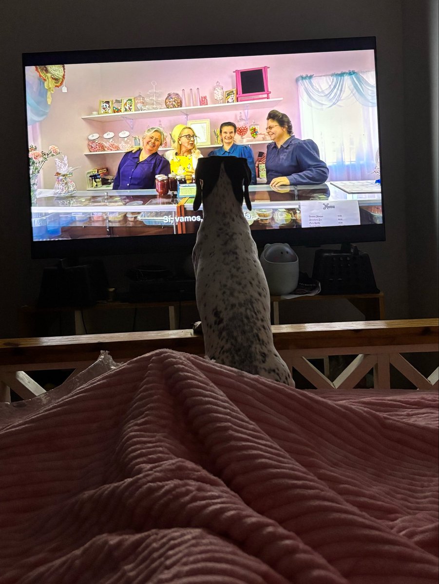 ⛧ dani ⛧ tweet media