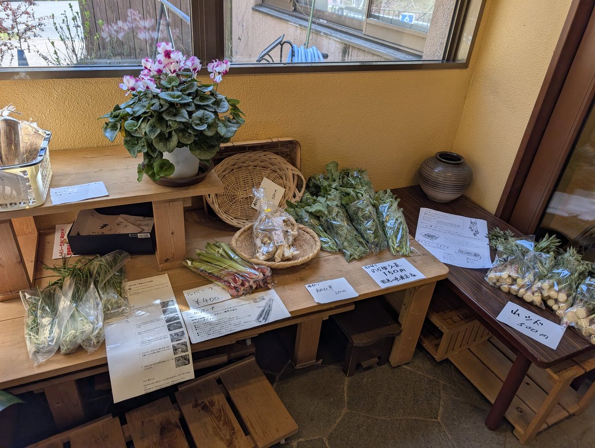 気温17℃湿度25%。
晴れです。
今日もお出かけ日和ですね。
農産物売り場はのびる、のらぼう菜、ルバーブ、山ウドなど出ています。
ルバーブと山ウドは今年初です。
ルバーブはジャムに、山ウドは葉先は天ぷら、茎は和え物やきんぴらにすると美味しいです。