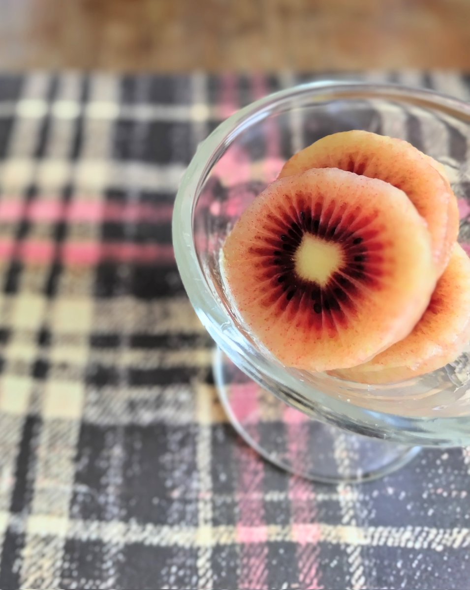 DOG HEAVEN@英語多読 tweet media