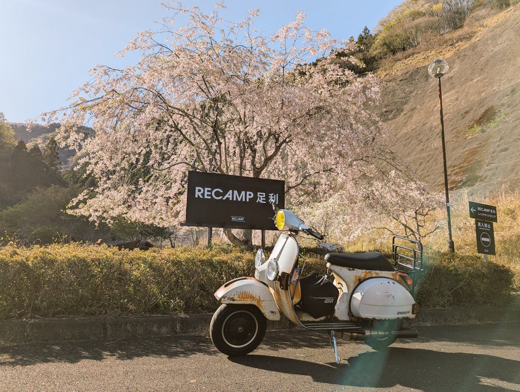 antique_cube's tweet photo. 今年最後のお花見かな♪(´―`)
#Vespa
#P200E
#お花見 https://t.co/MTElc8sRig