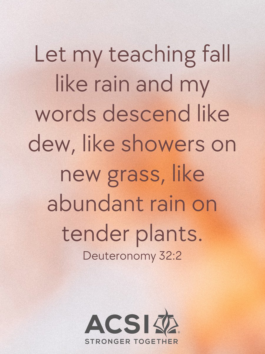 ACSI International Schools tweet media