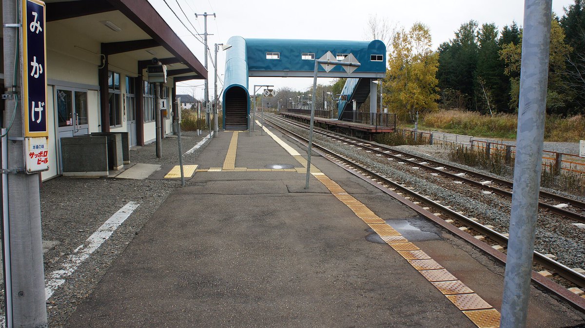 蝦夷のmiu (みうちゃん) tweet media