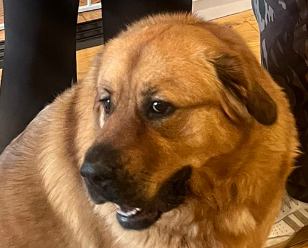 𝓜𝒾𝓚𝐞 tweet media