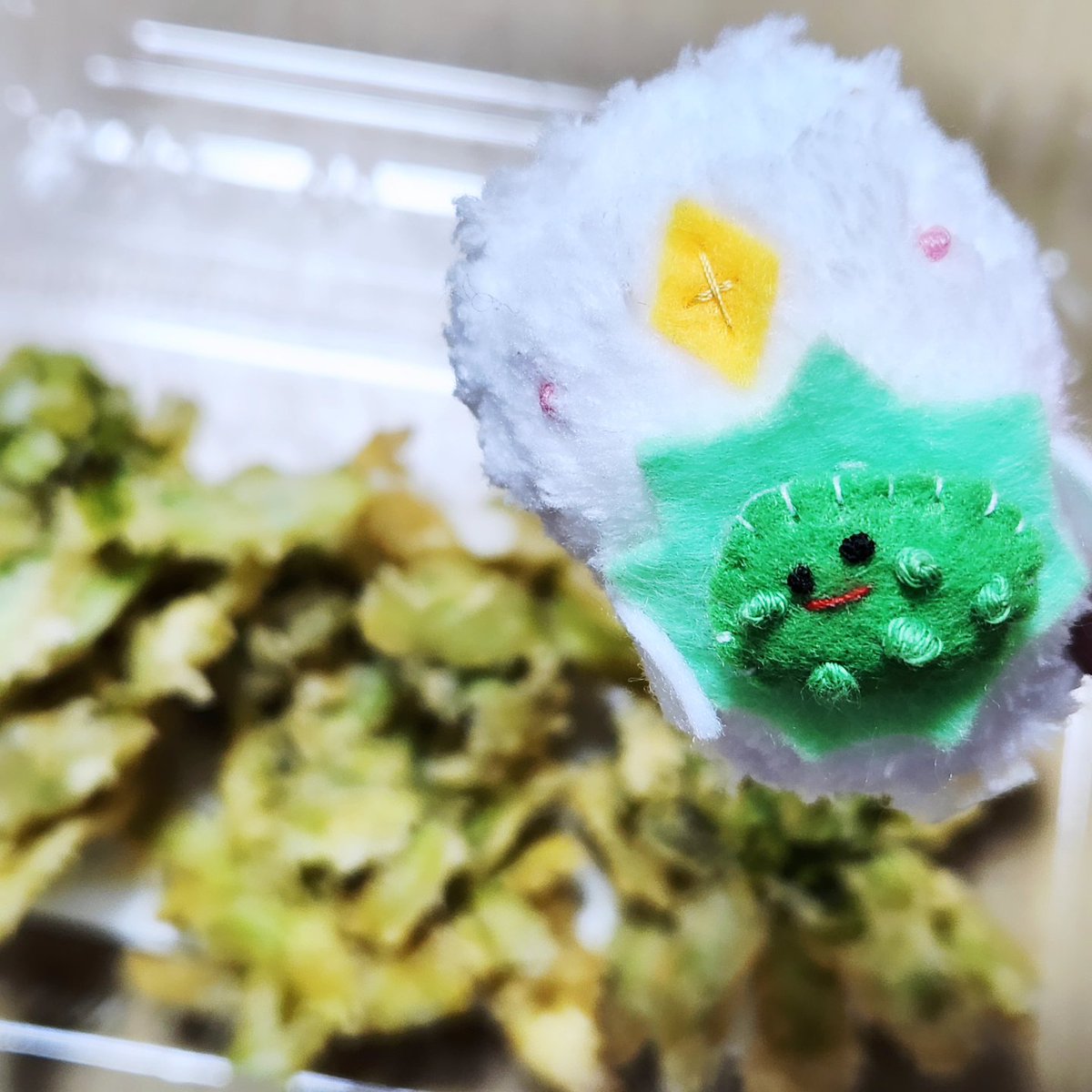 ふきのとうの天ぷら🌱🍚
春☺️

#ぬい撮り