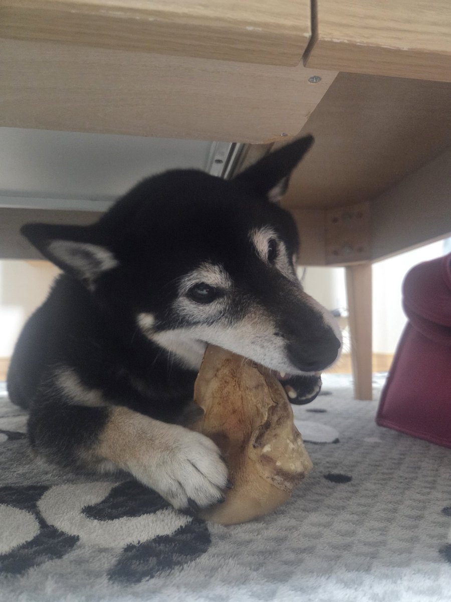 どんぐりたん tweet media