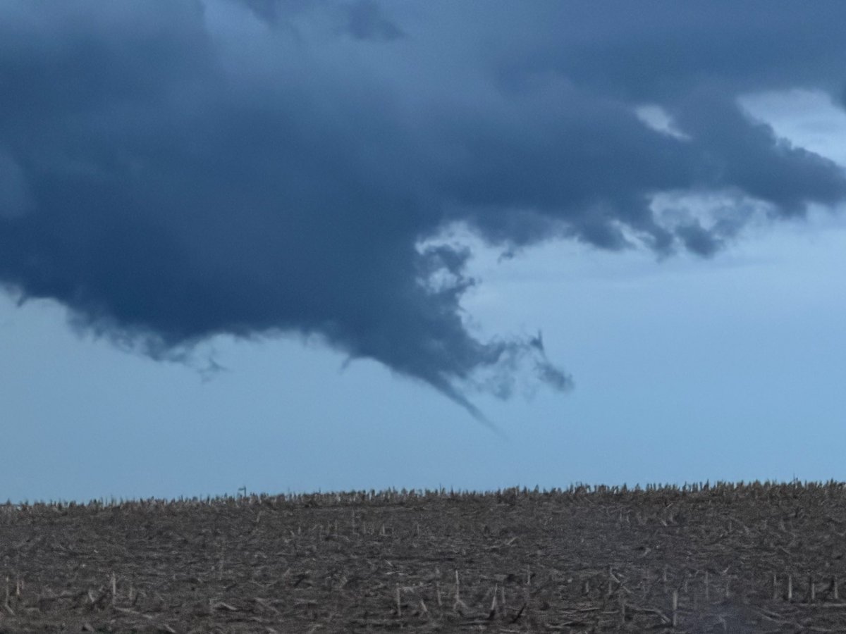 Taylor Wright tweet media