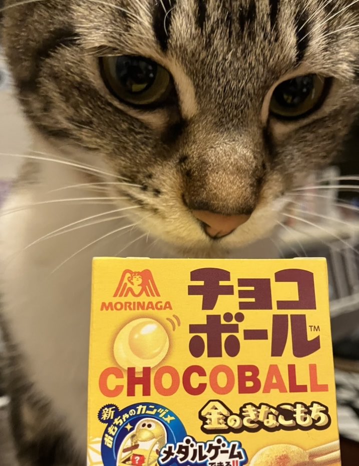 かっち tweet media