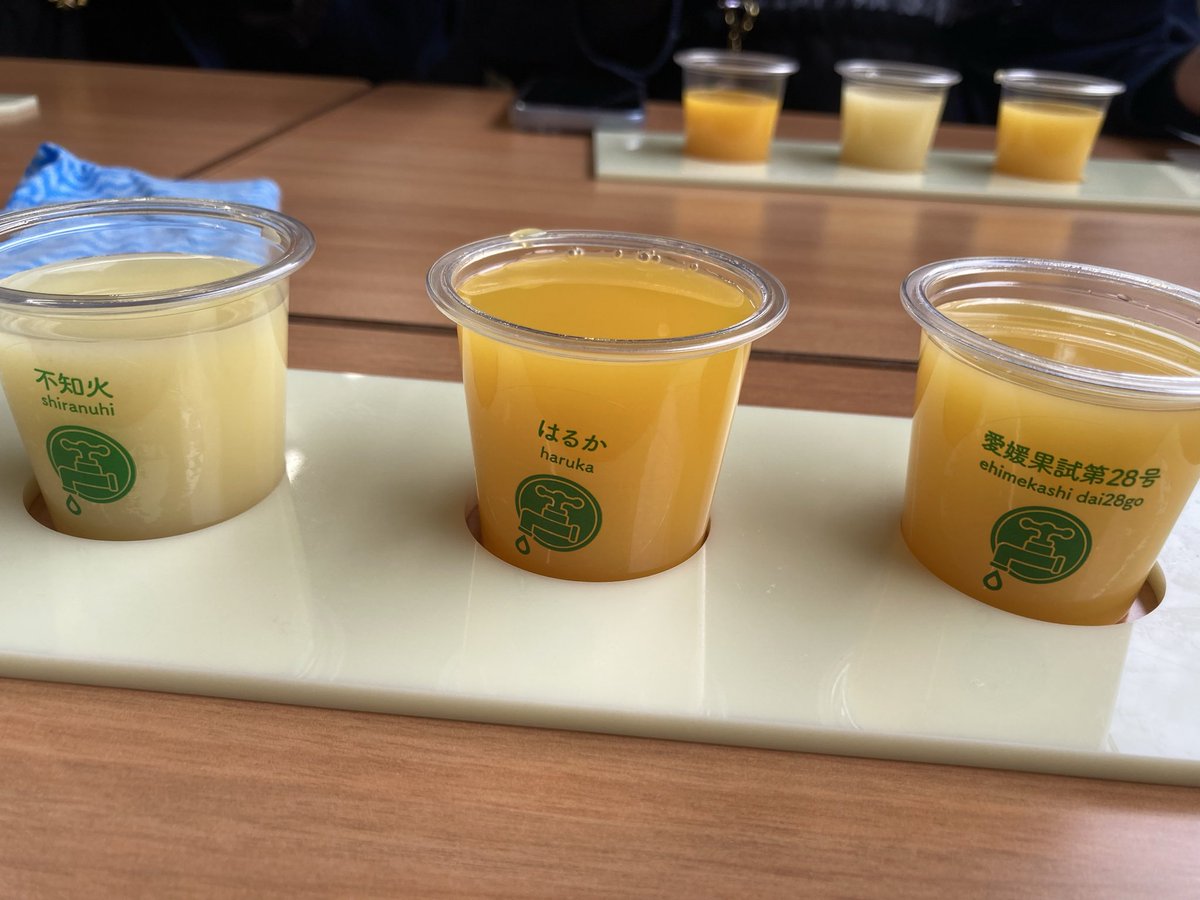 うみと🪸🐇 tweet media