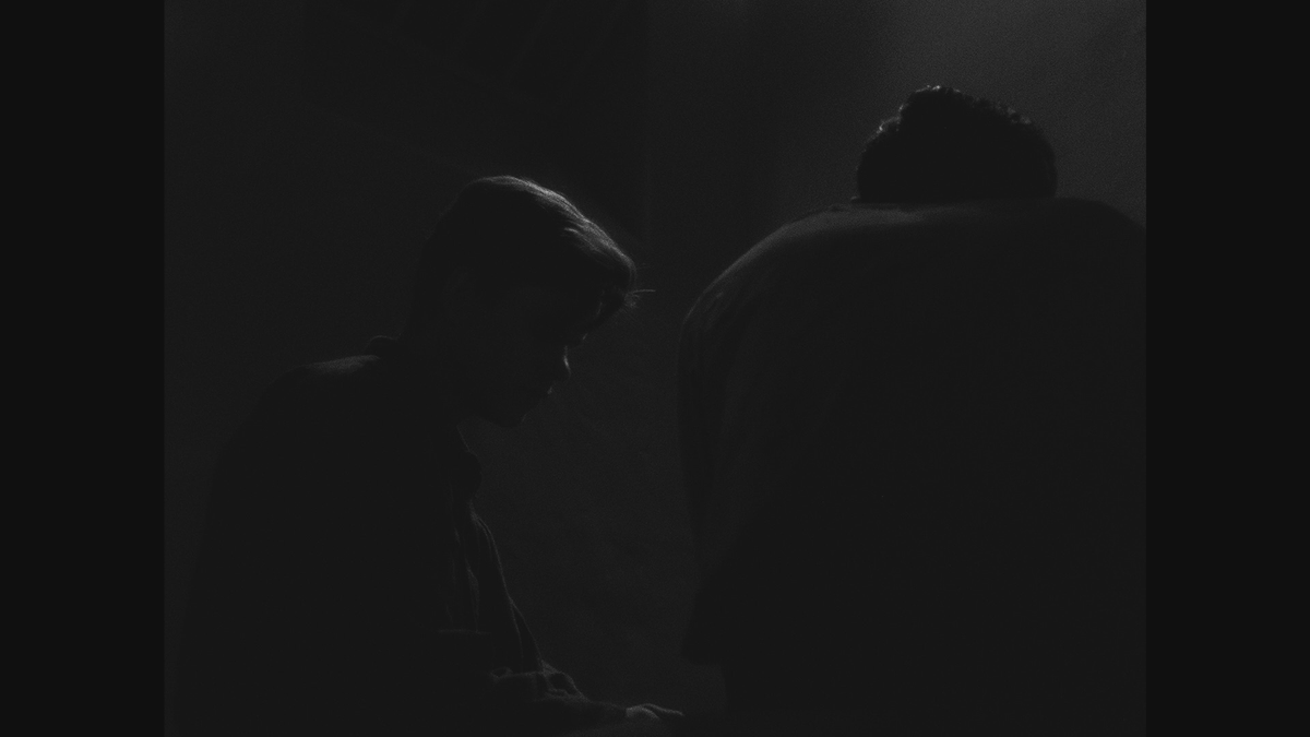 Torrent Film Fest tweet media