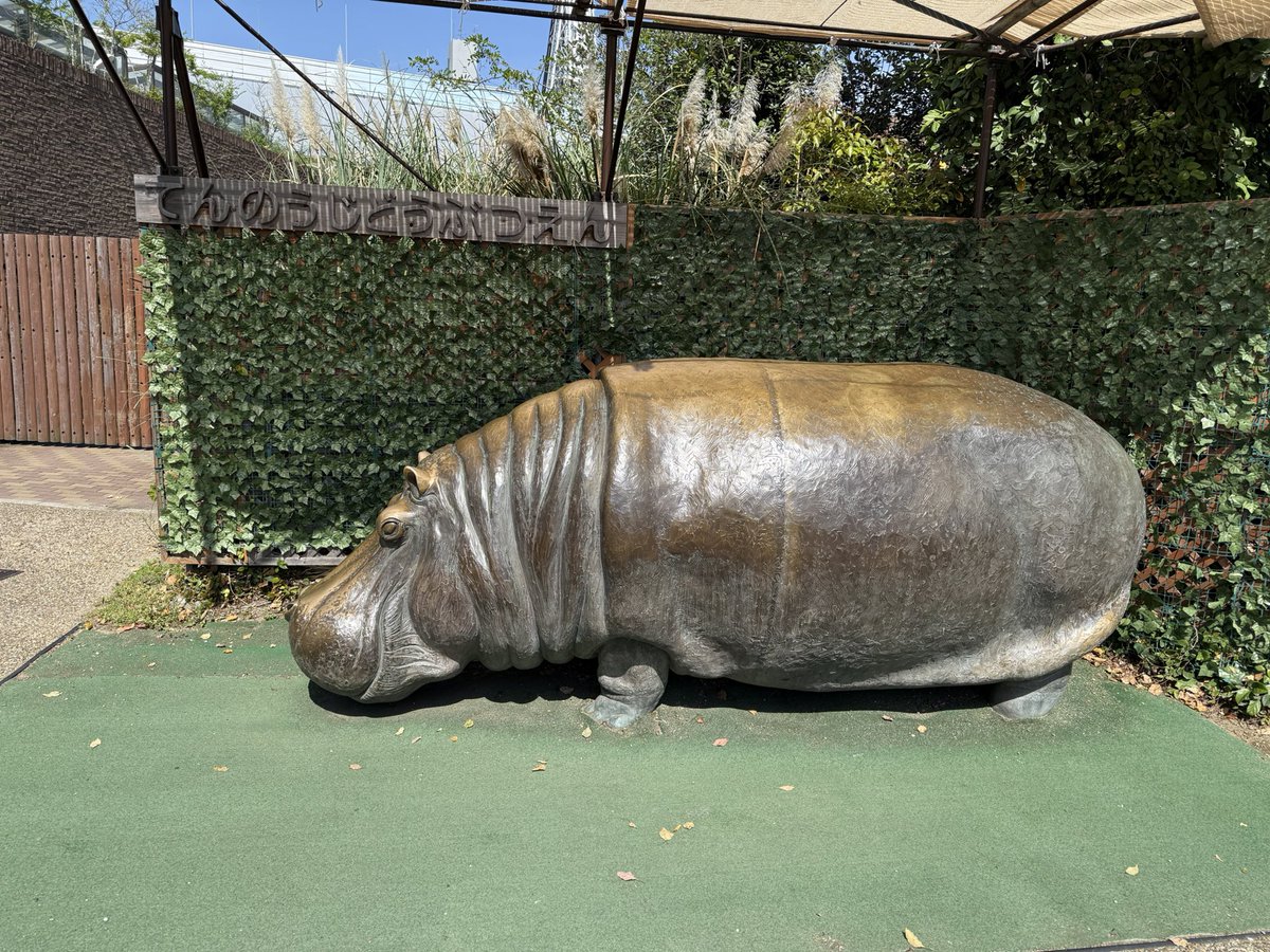 ぬま〜ろ tweet media