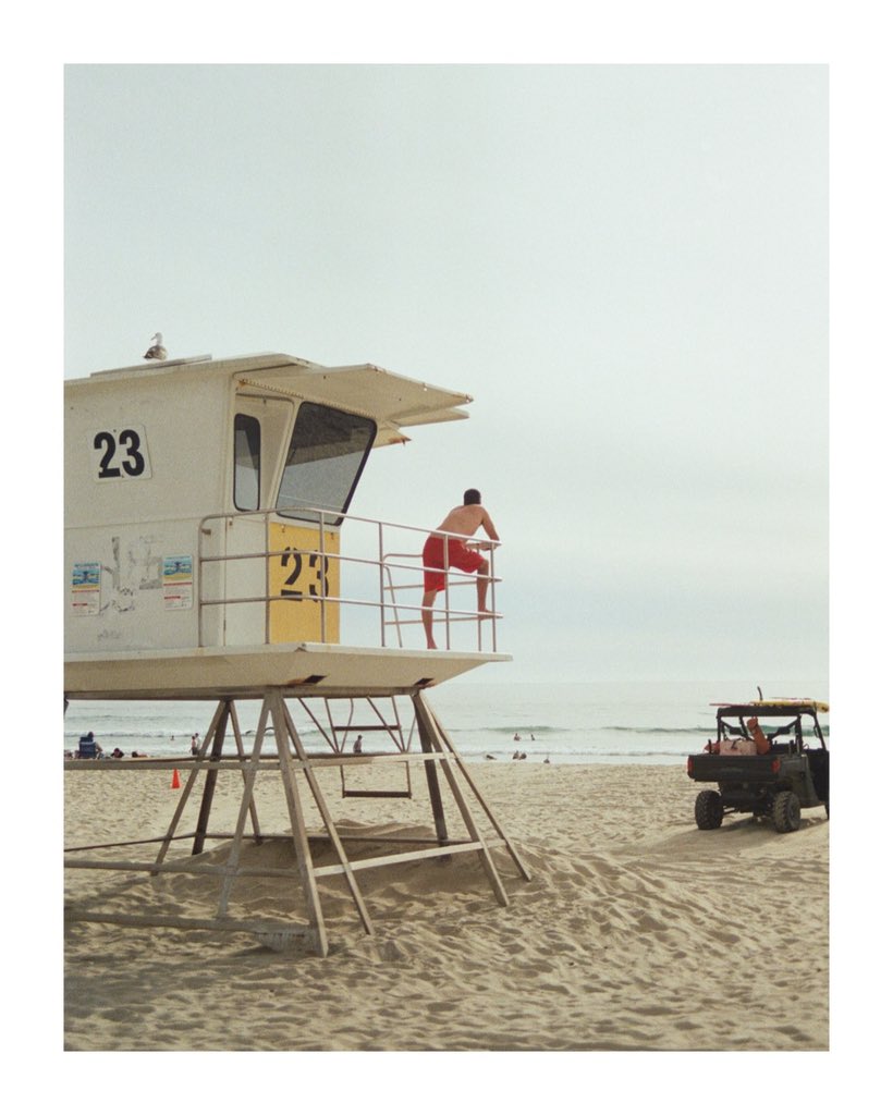 lee hernandez tweet media