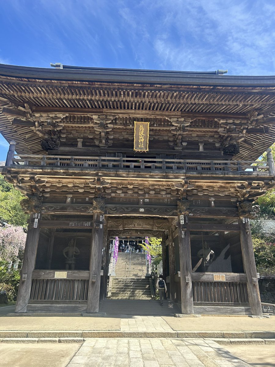 碧(あお)🚙 tweet media