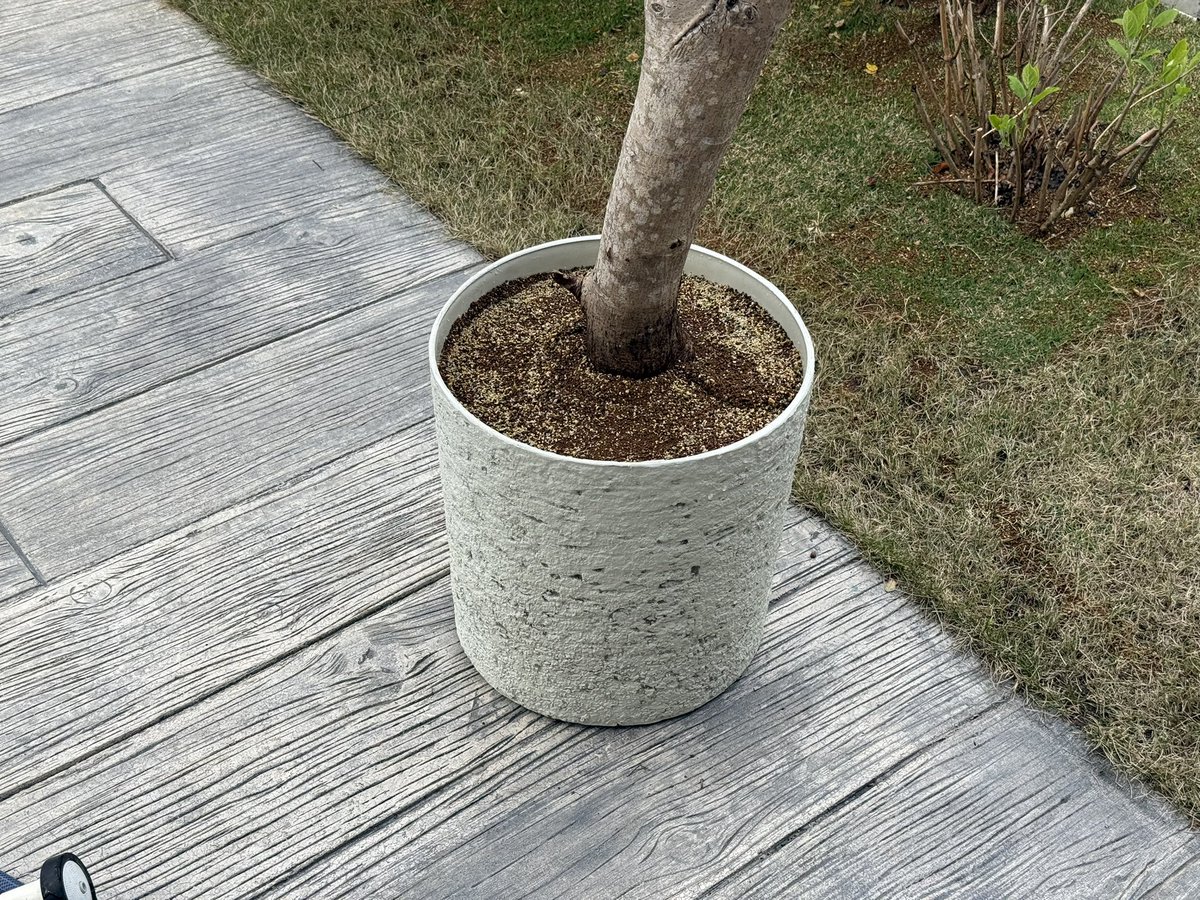 たそ。 tweet media