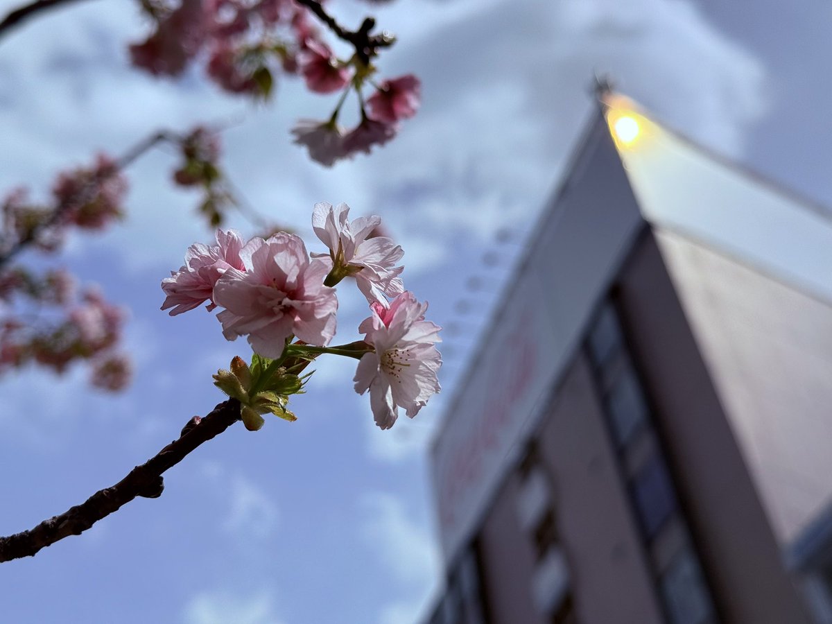 すずゆぅ🥕🦉🍞 tweet media