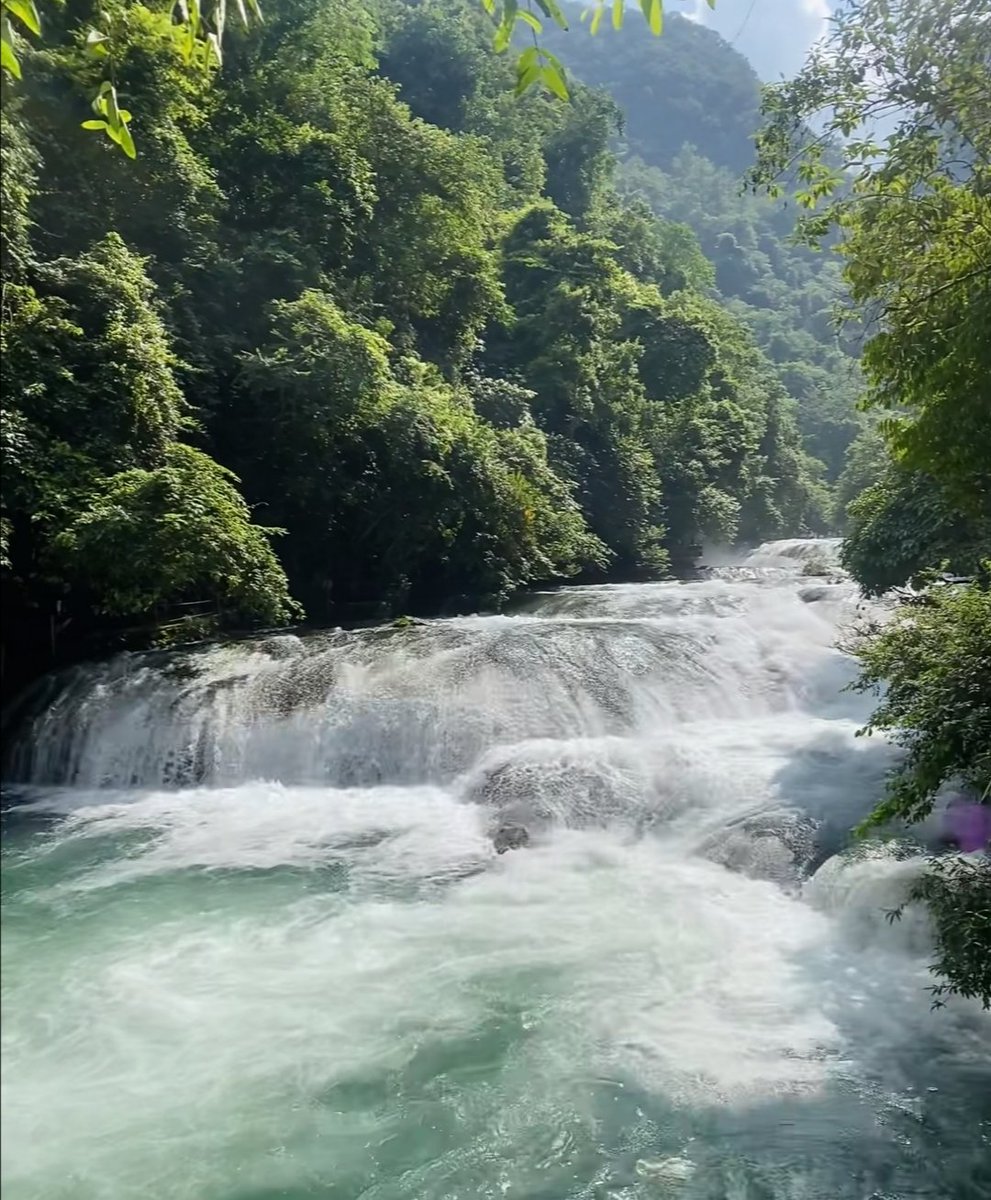 张蔓蔓 tweet media