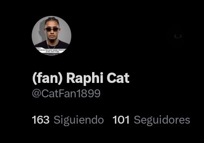 (fan) Raphi Cat tweet media