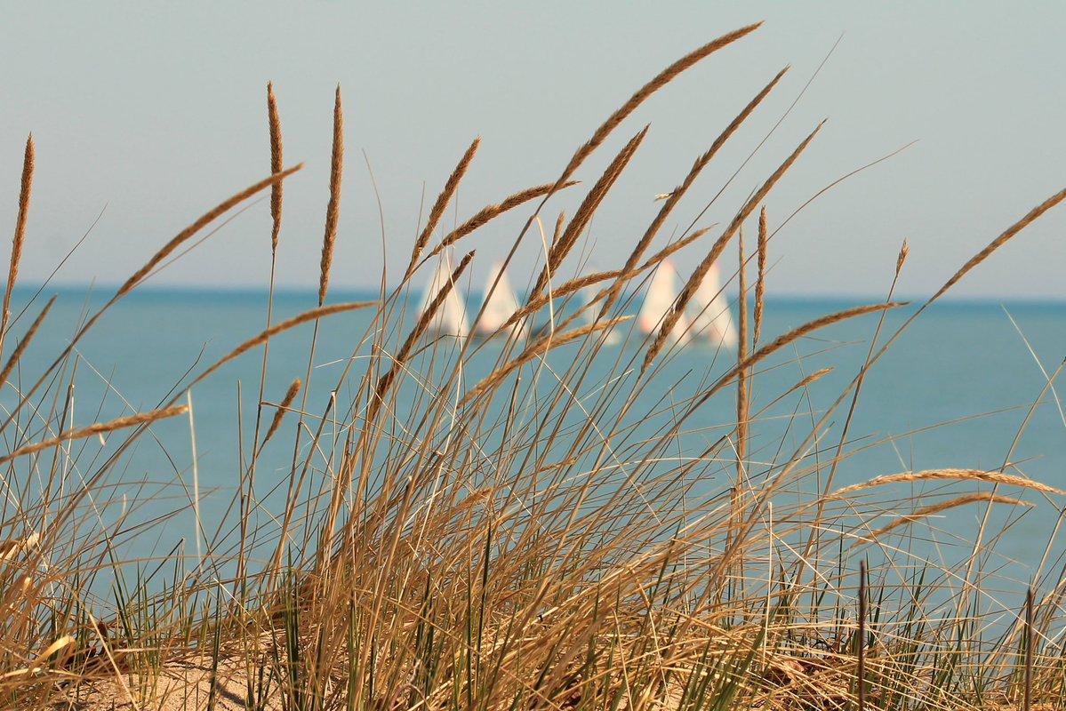 Jim Brown tweet media