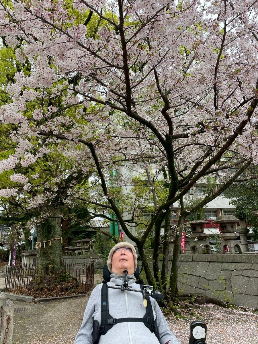 🌸みんなの地域の桜をご紹介🌸

パイロット・スタッフの住む地域の桜をご紹介！

今日は三重のコーキさん👏

こちらは諏訪神社の桜だそうです☺️

コーキさんと桜の素敵なお写真🌸✨

#分身ロボットカフェ
#BunshinRobotCafe