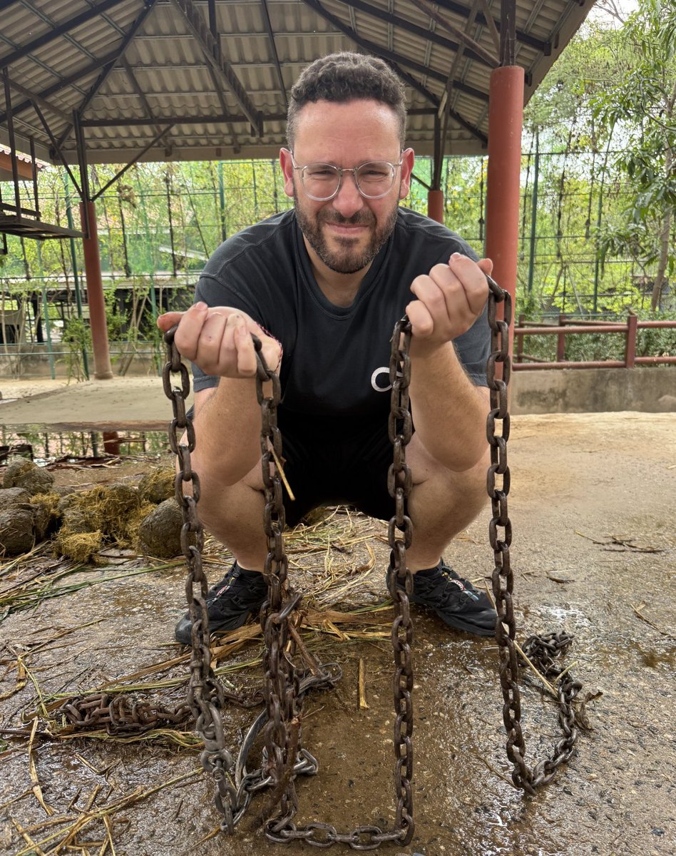 Timothy Sykes tweet media