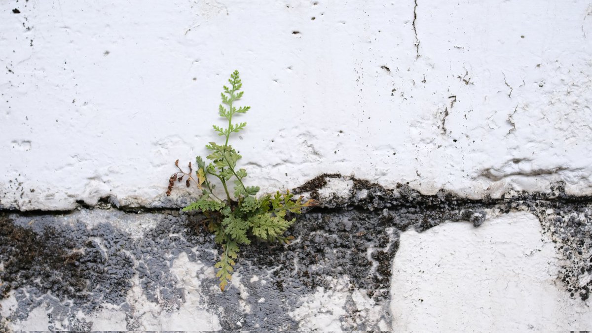 ハッシュ📷29a!😌 tweet media