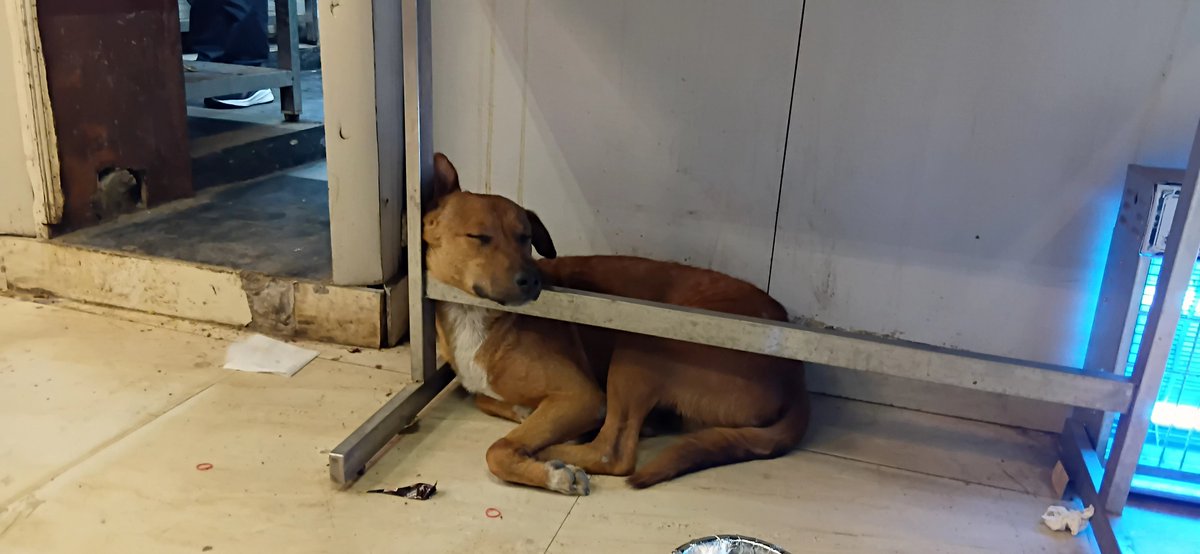 Kitna sukoon hai...acchi neend aa rahi h...🤗😀