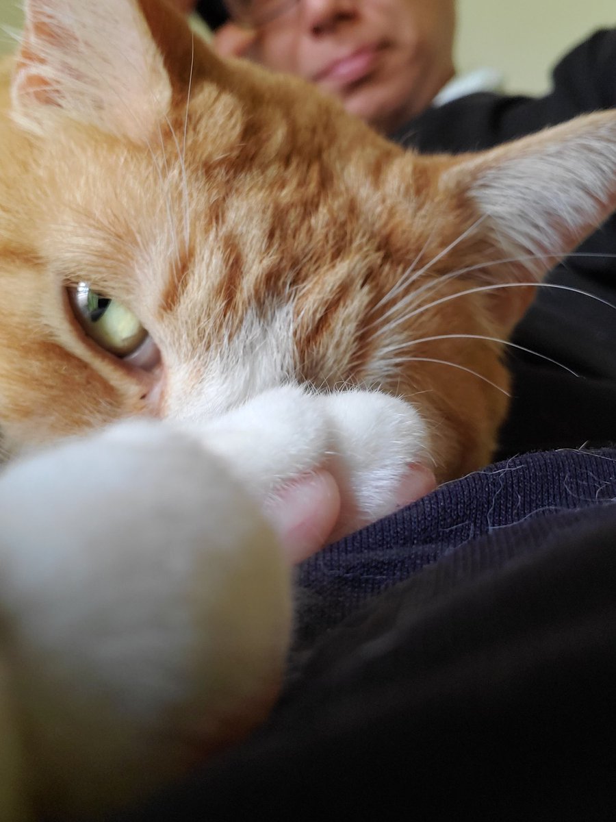 青木清四郎 tweet media