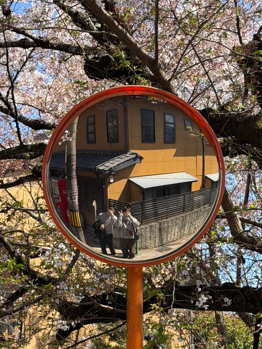 トントン tweet media