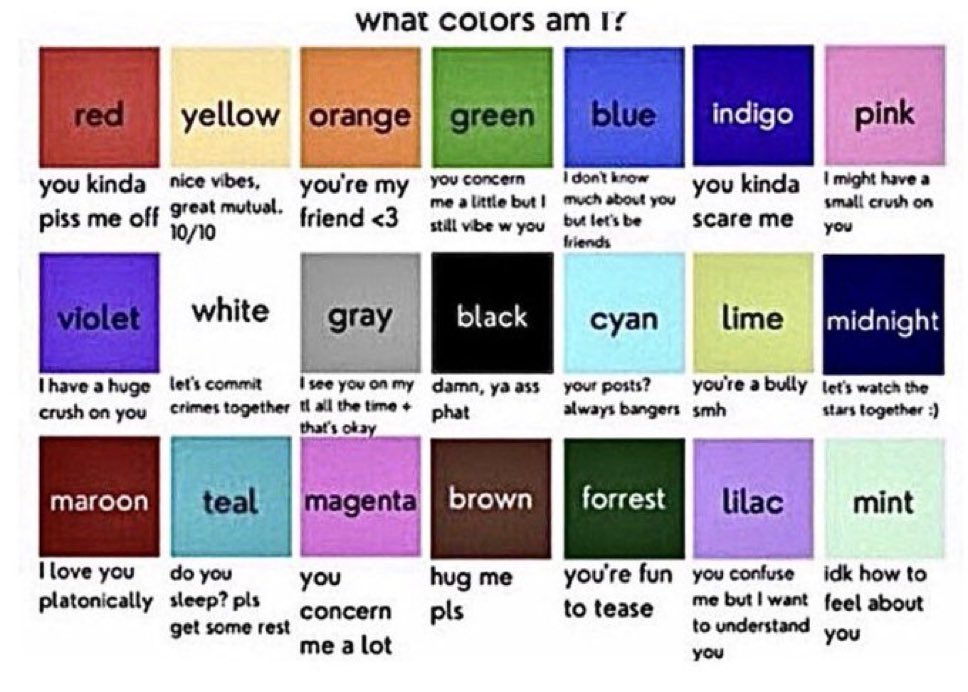 bella ⚢ tweet media